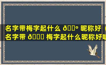 名字带梅字起什么 🐺 昵称好（名字带 🐅 梅字起什么昵称好听男孩）